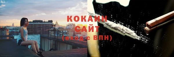 винт Верея