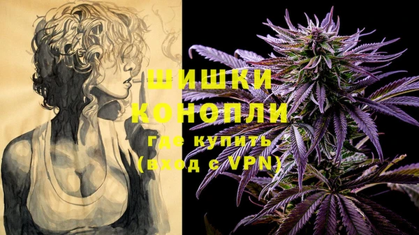 винт Верея