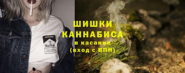 винт Верея